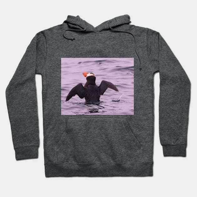 Puffin Hoodie by Oregon Art Shop